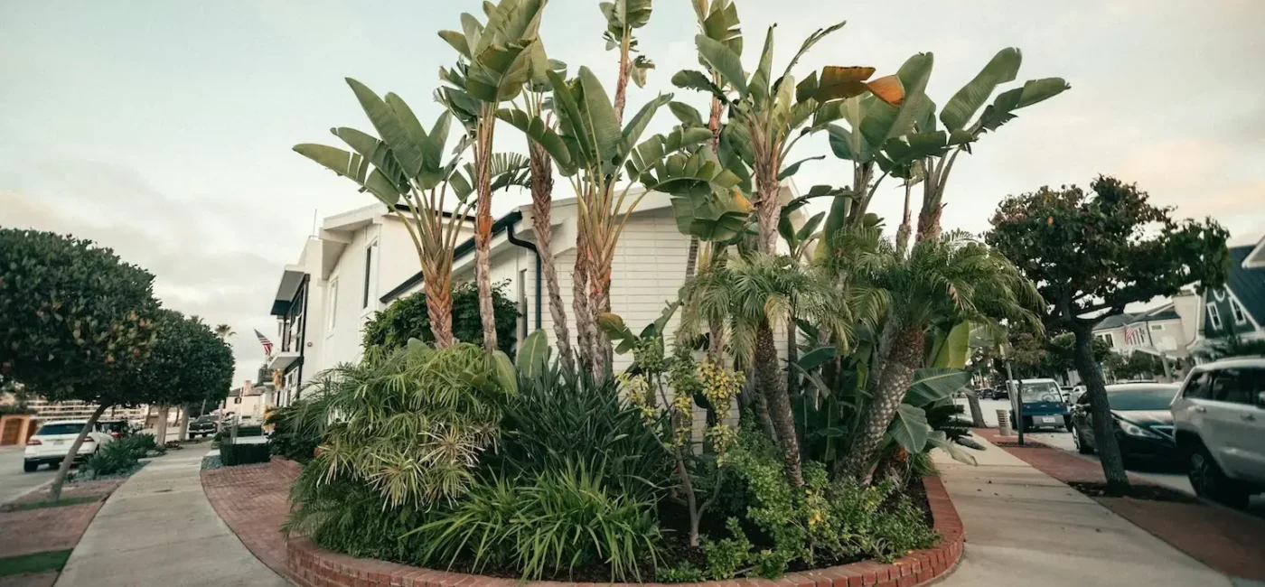 How to Rent House in California: A Complete Guide